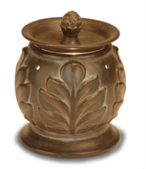 Acanthus Brown
